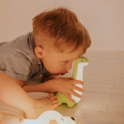 Led lamp Dinosaurus Led lamp Dinosaurus