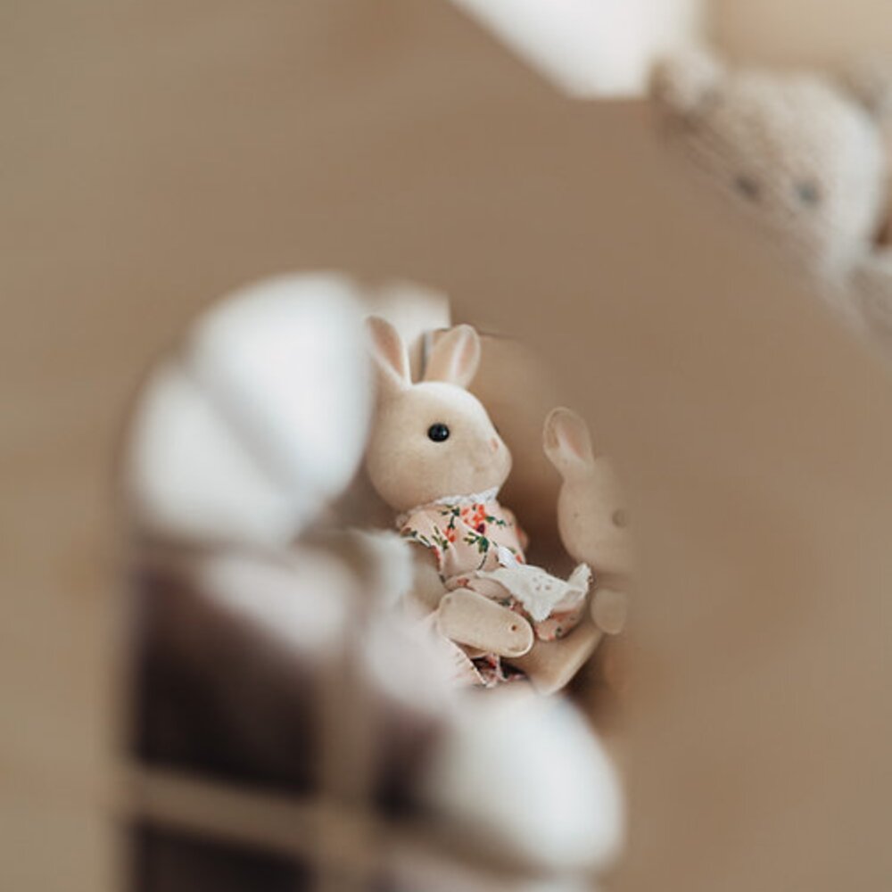 Klassiek poppen huis