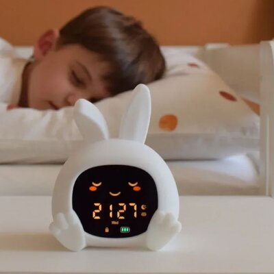 Slaaptrainer Sarah Slaaptrainer Sarah