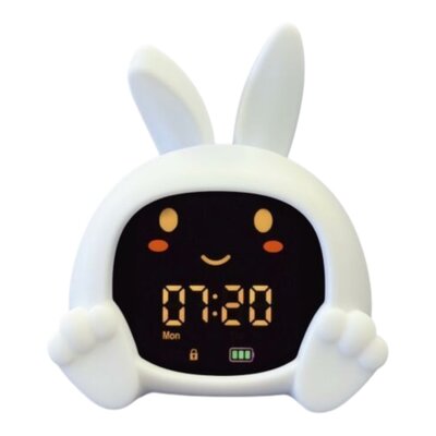 Slaaptrainer Sarah Slaaptrainer Sarah