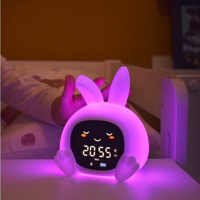 Slaaptrainer Sarah Slaaptrainer Sarah