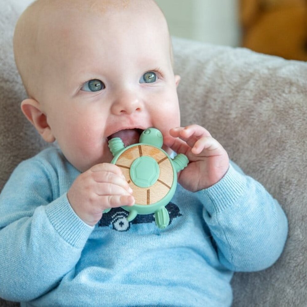 Silisoft Schildpad Bijtspeelgoed (Neutrale Kleuren)