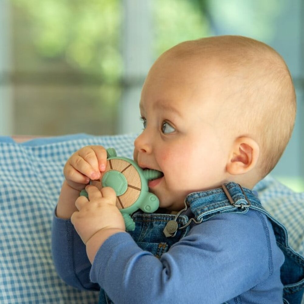 Silisoft Schildpad Bijtspeelgoed (Neutrale Kleuren)