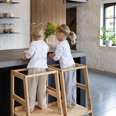 Forrest leertoren beuk Natuur Forrest leertoren beuk Natuur