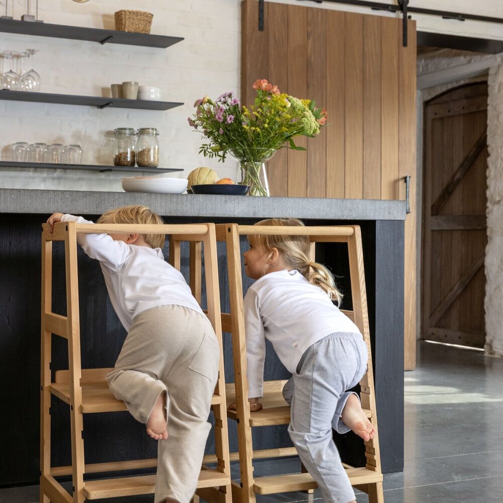 Forrest leertoren beuk Natuur Forrest leertoren beuk Natuur