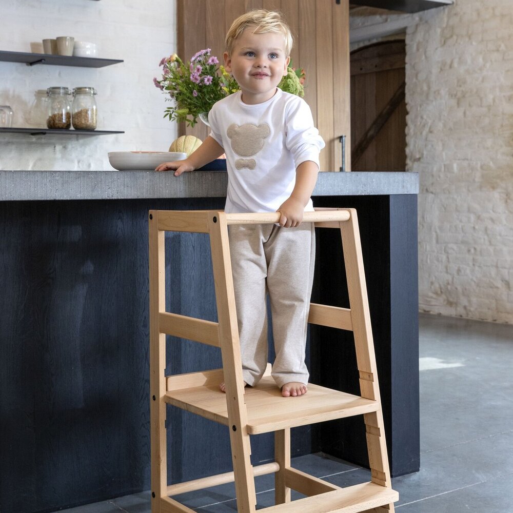 Forrest leertoren beuk Natuur Forrest leertoren beuk Natuur