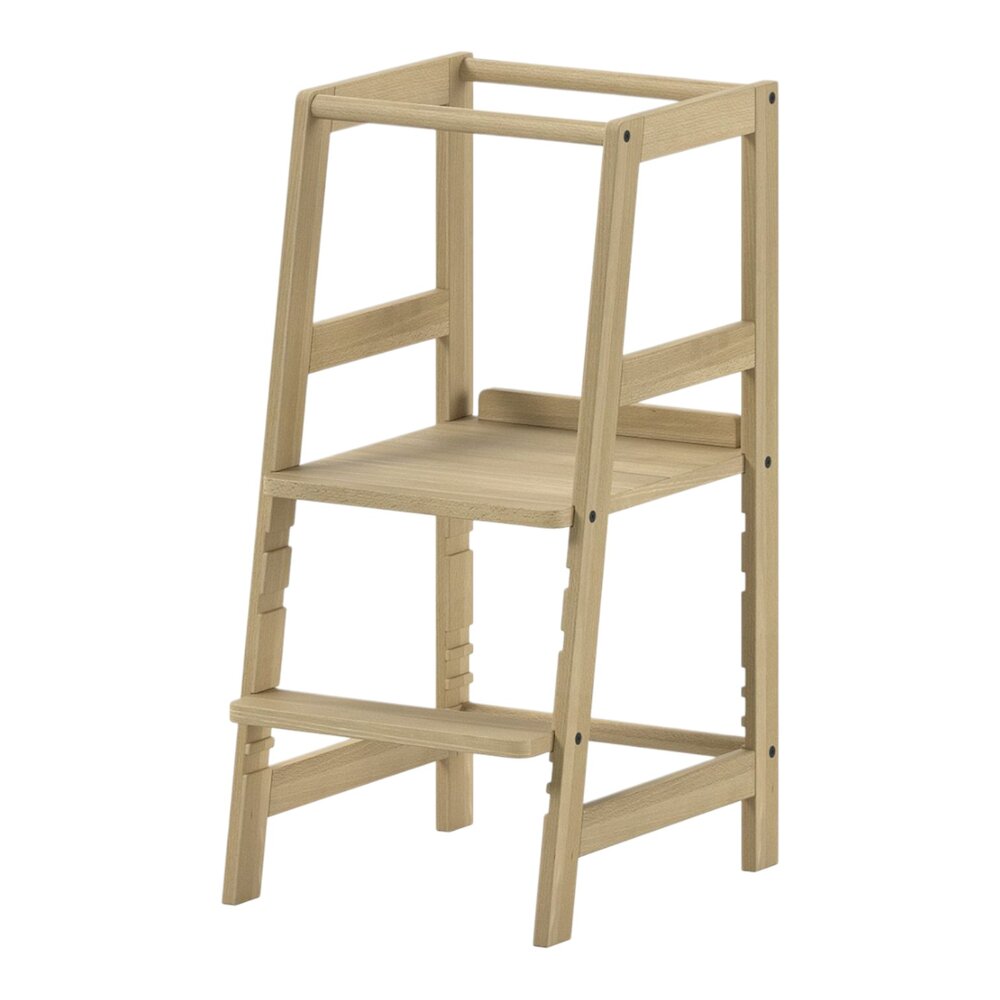 Forrest leertoren beuk Natuur Forrest leertoren beuk Natuur