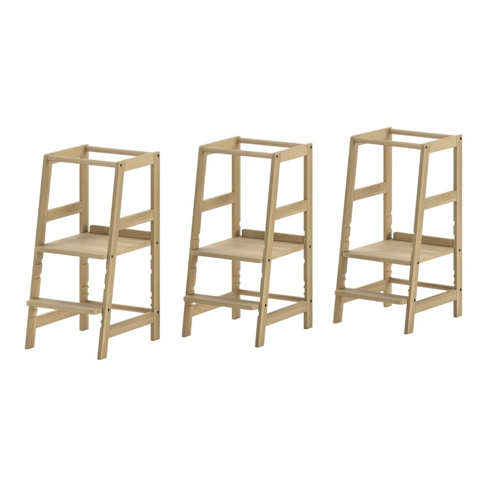 Forrest leertoren beuk Natuur Forrest leertoren beuk Natuur