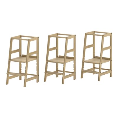 Forrest leertoren beuk Natuur Forrest leertoren beuk Natuur