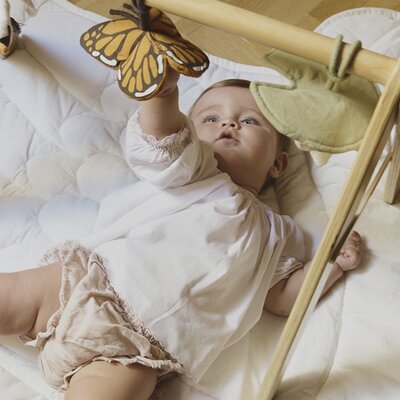 Babygym & speeltjes - Swan