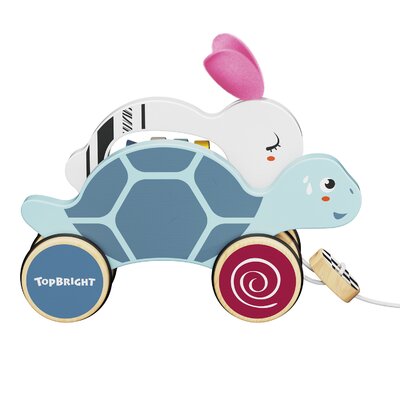 The Hare and The Tortoise