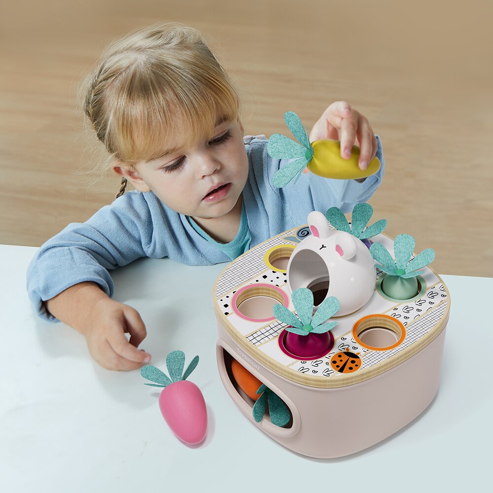 Match & Sort Carrots