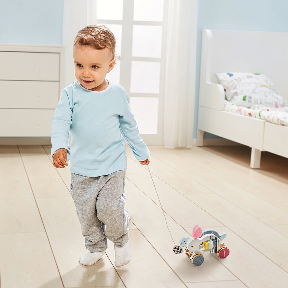 The Hare and The Tortoise