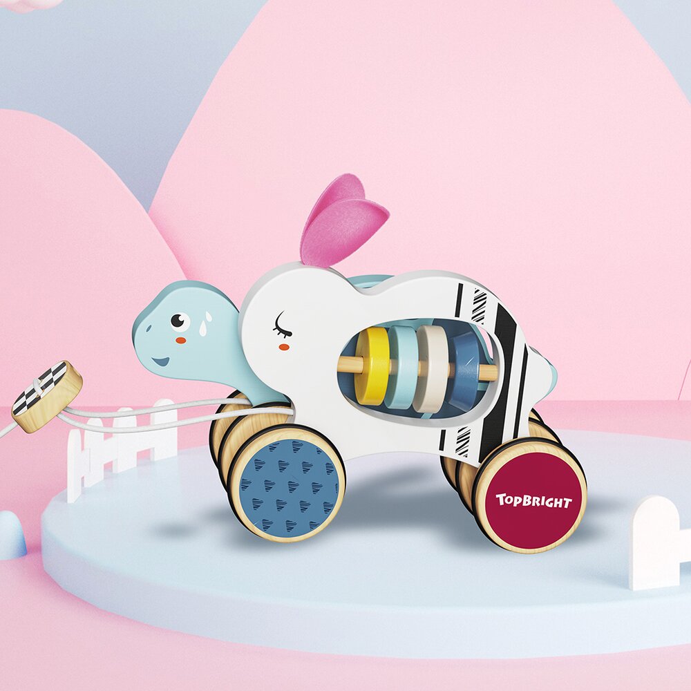 The Hare and The Tortoise