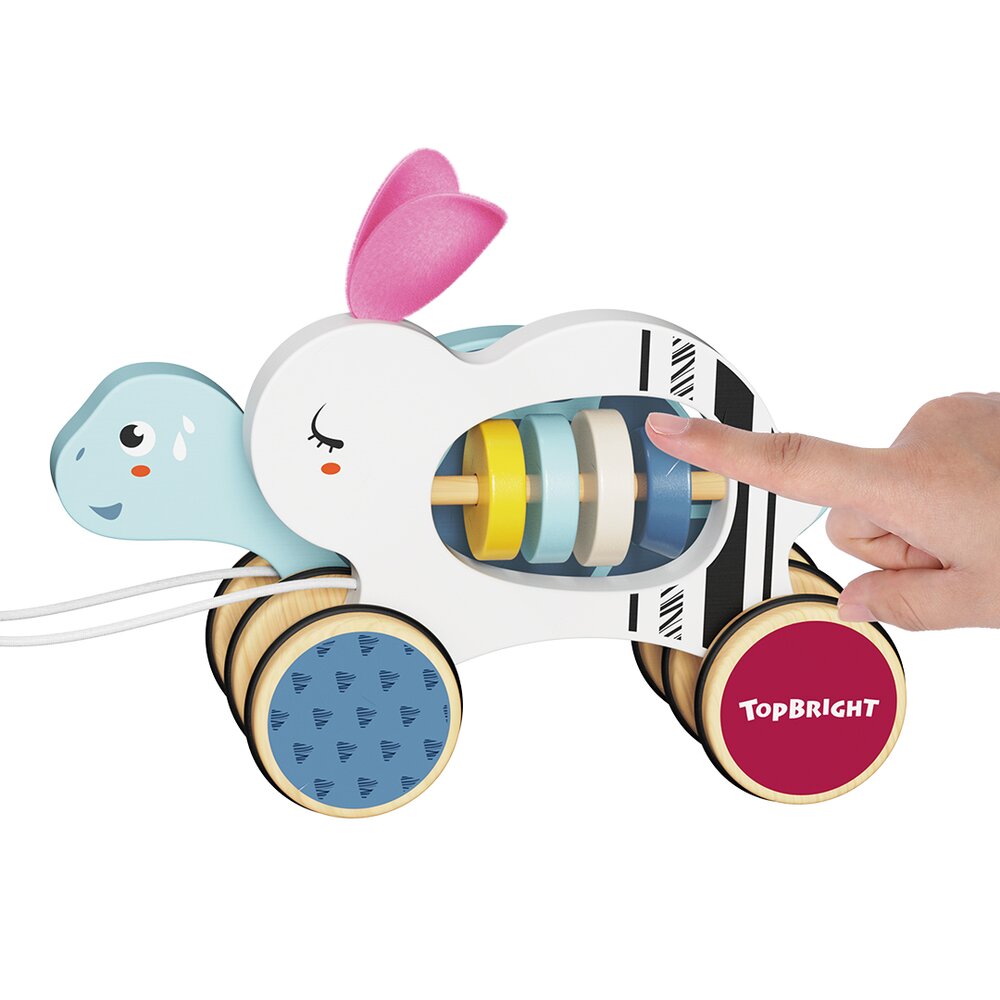 The Hare and The Tortoise