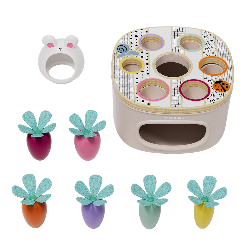 Match & Sort Carrots