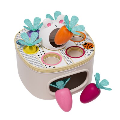 Match & Sort Carrots