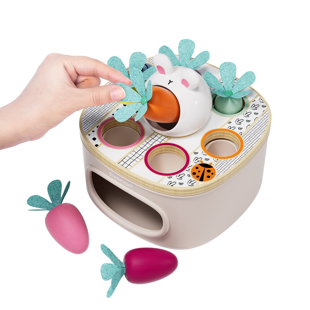 Match & Sort Carrots