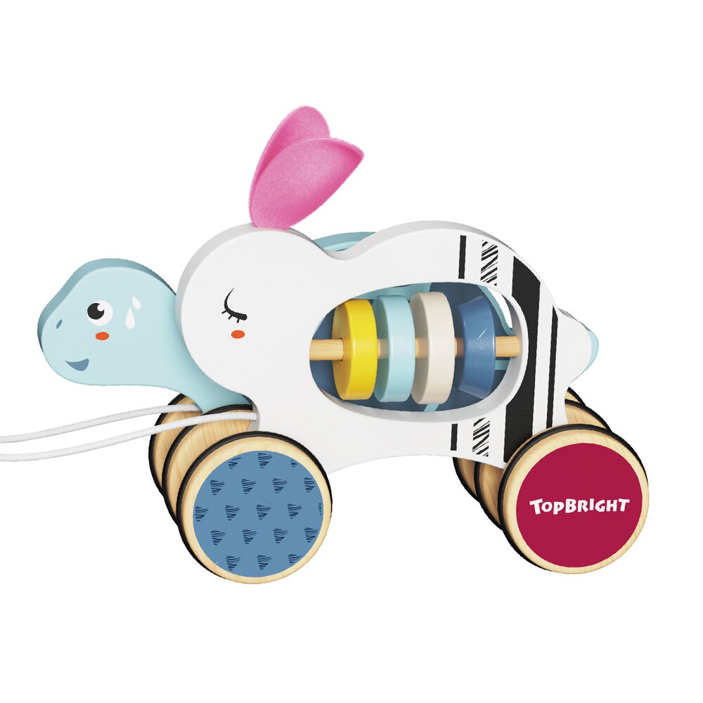 The Hare and The Tortoise