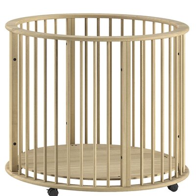 Park rond Dino Natuur