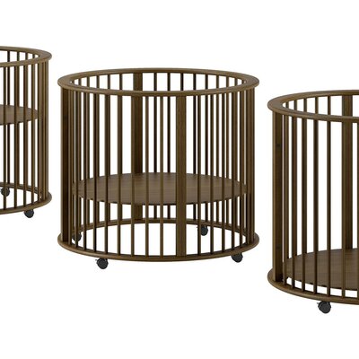 Park rond Dino Walnoot