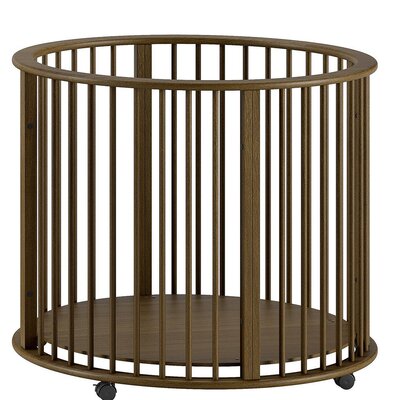 Park rond Dino Walnoot