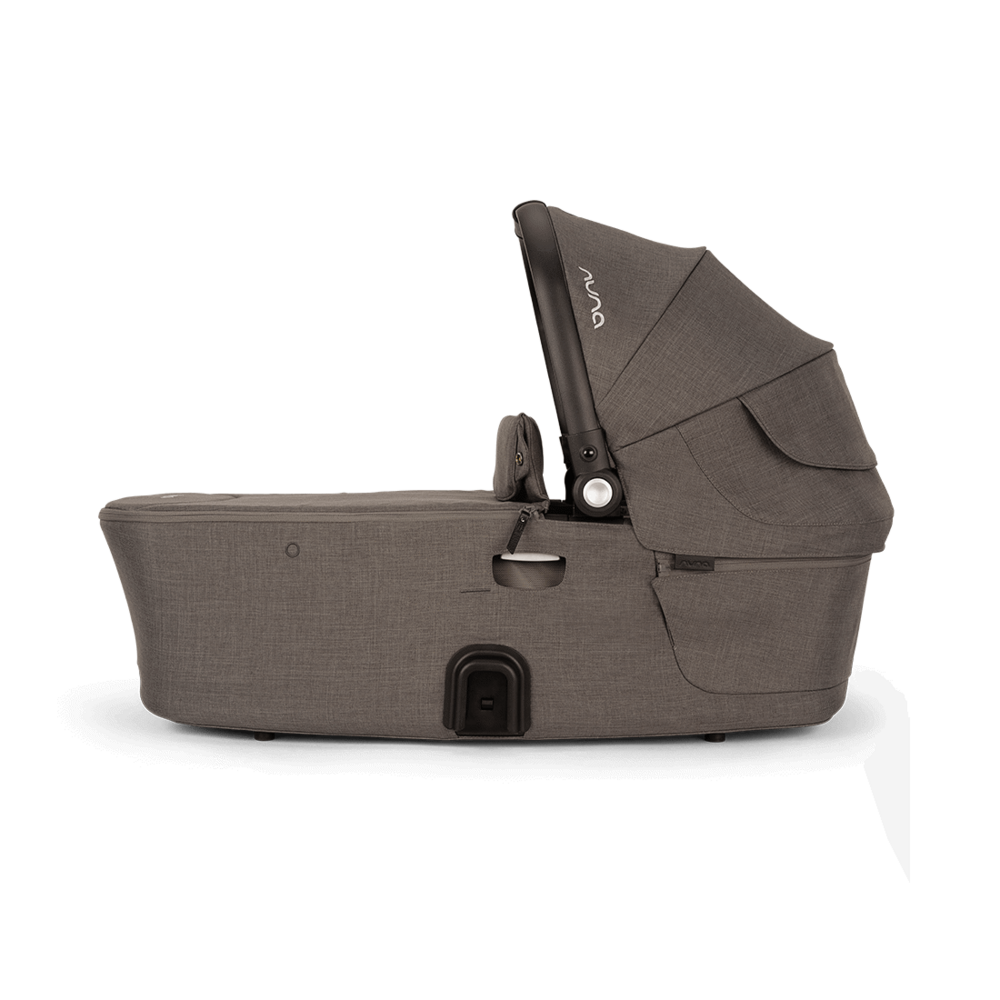 Reiswieg Demi Next Thunder