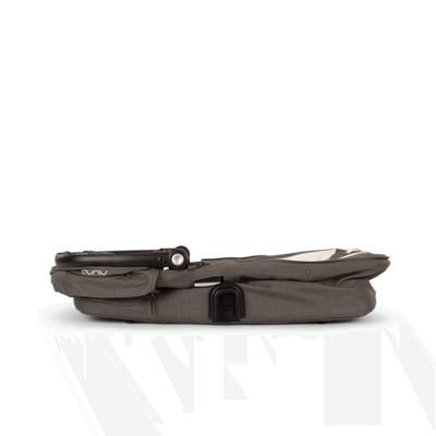 Reiswieg Demi Next Thunder