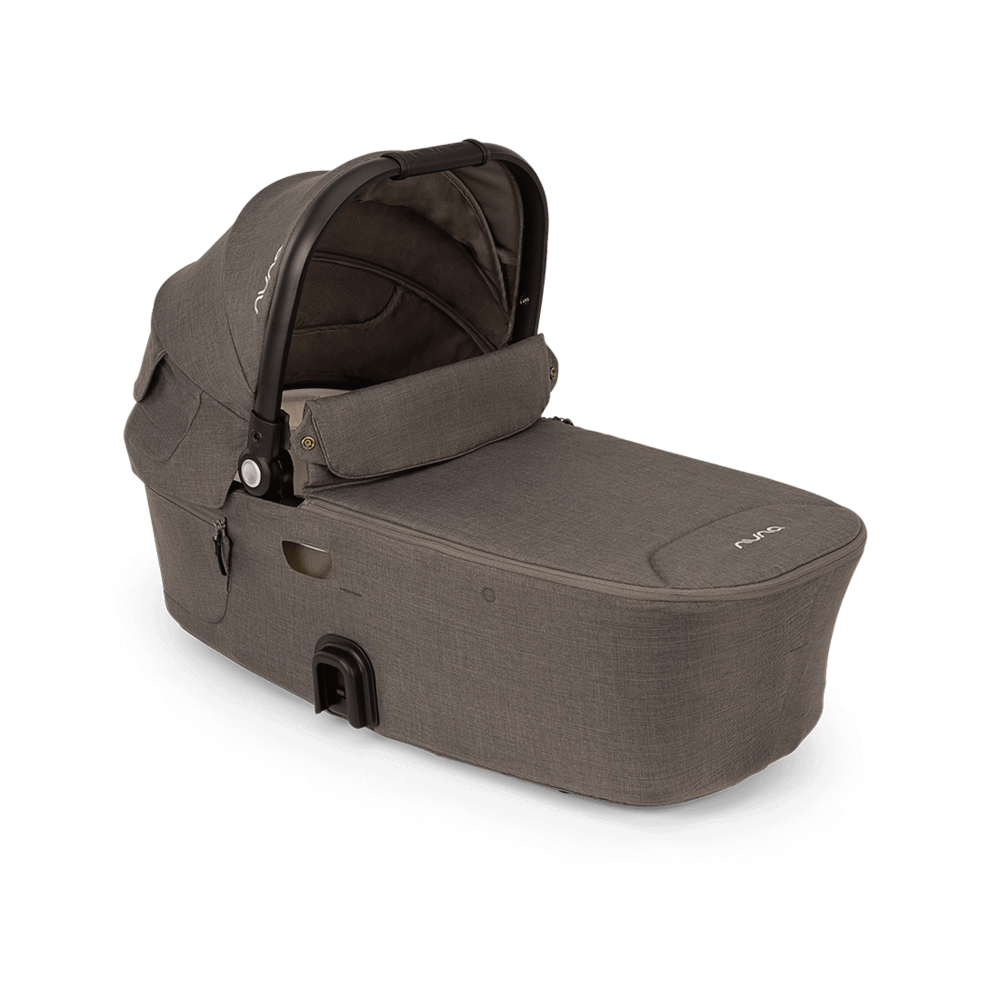 Reiswieg Demi Next Thunder