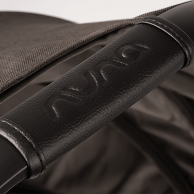 Reiswieg Demi Next Thunder