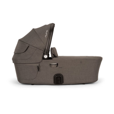 Reiswieg Demi Next Thunder