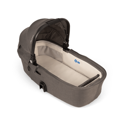 Reiswieg Demi Next Thunder