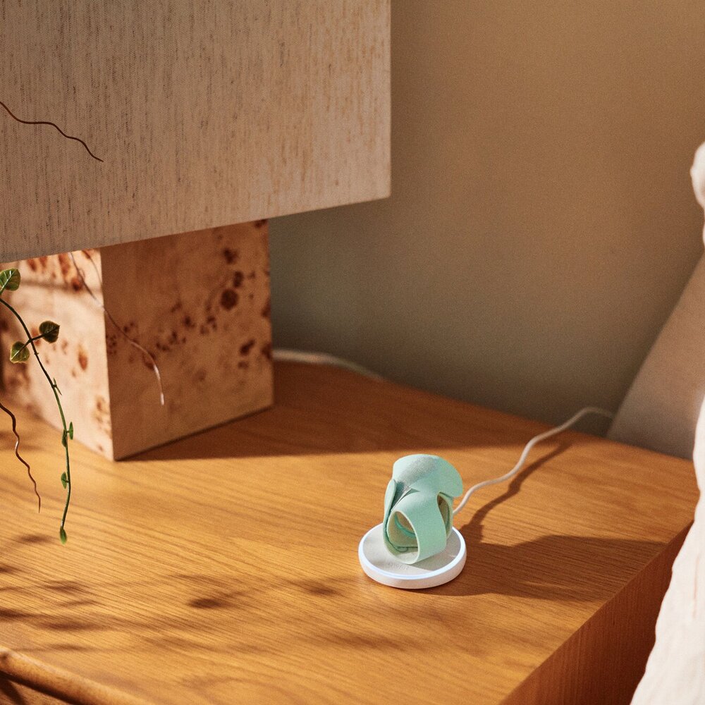 Dream Sock & Camera Dream Sight Mint