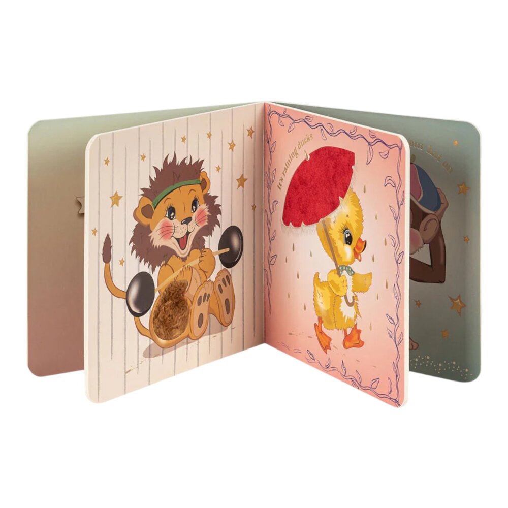 Voel- en raadboek FSC