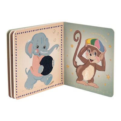 Voel- en raadboek FSC