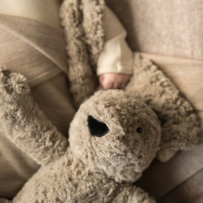 Bibi het knuffelkonijn met slaaptrainer Taupe