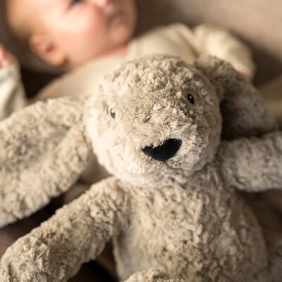 Bibi het knuffelkonijn met slaaptrainer Taupe