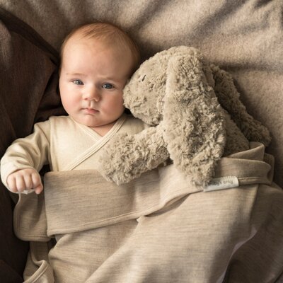 Bibi het knuffelkonijn met slaaptrainer Taupe