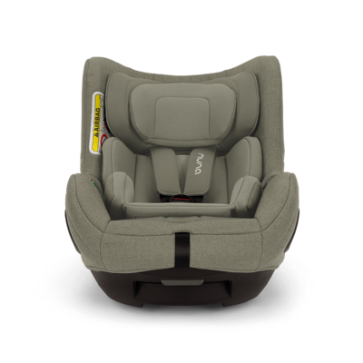 Autostoel Todl Next Pine