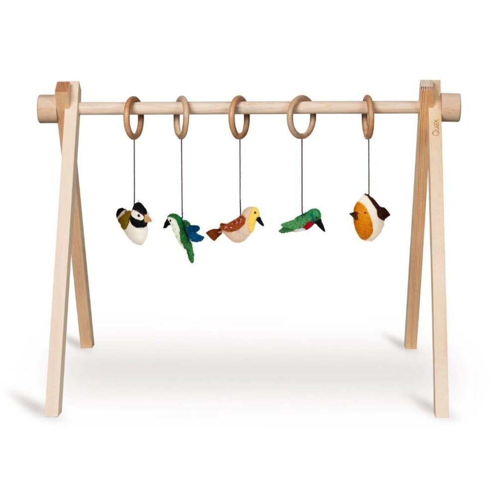 Activity toy set birds (5 pcs) Activity toy set birds (5 pcs)