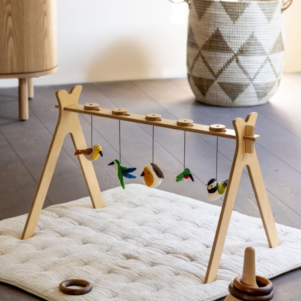 Activity toy set birds (5 pcs) Activity toy set birds (5 pcs)