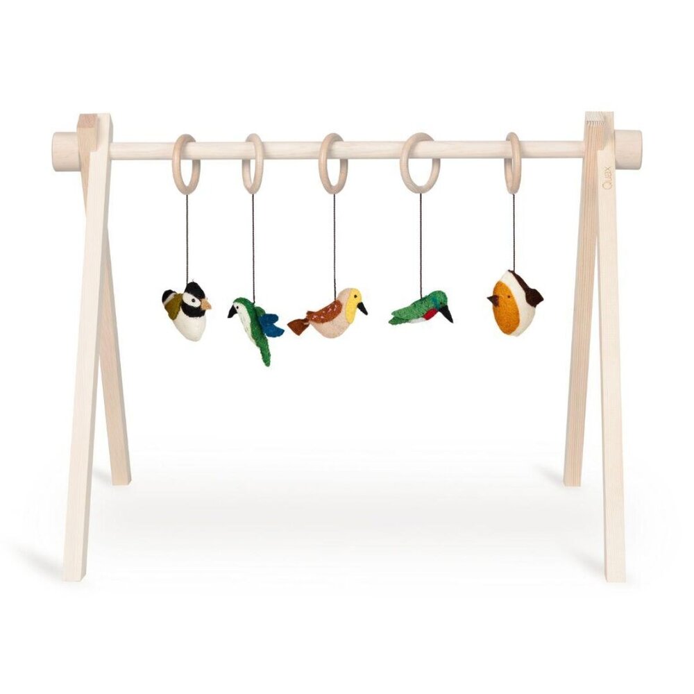 Activity toy set birds (5 pcs) Activity toy set birds (5 pcs)
