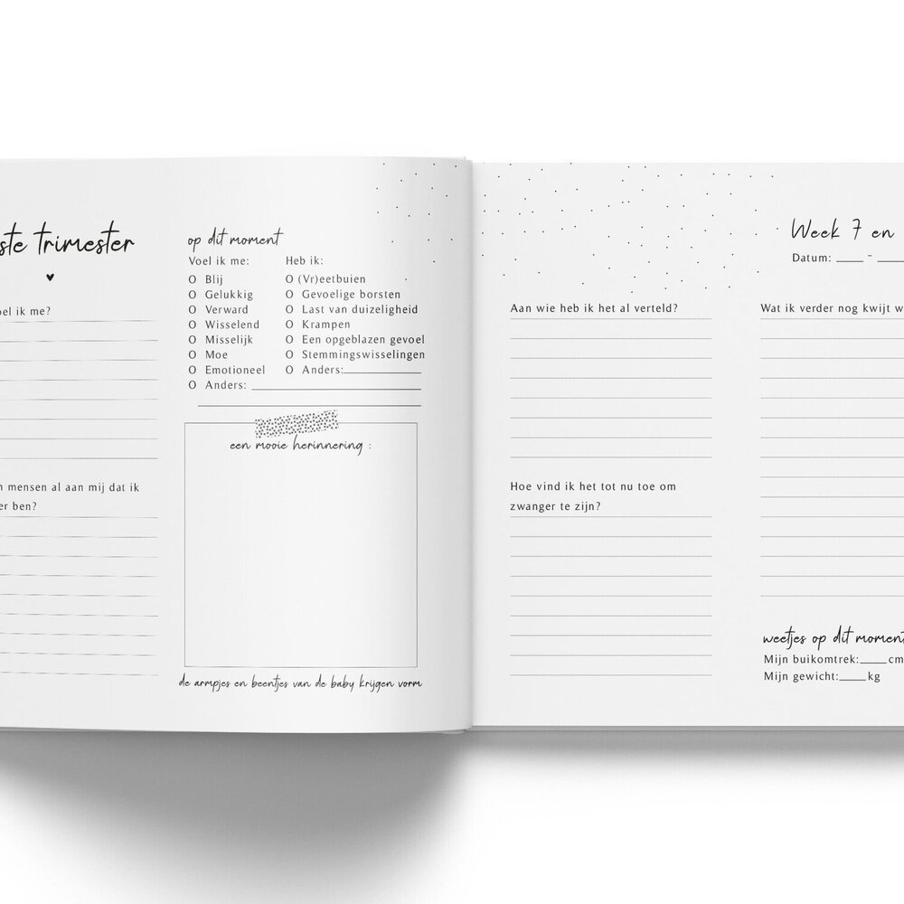 Mijn zwangerschap dagboek - Linnen Taupe Fyllbooks