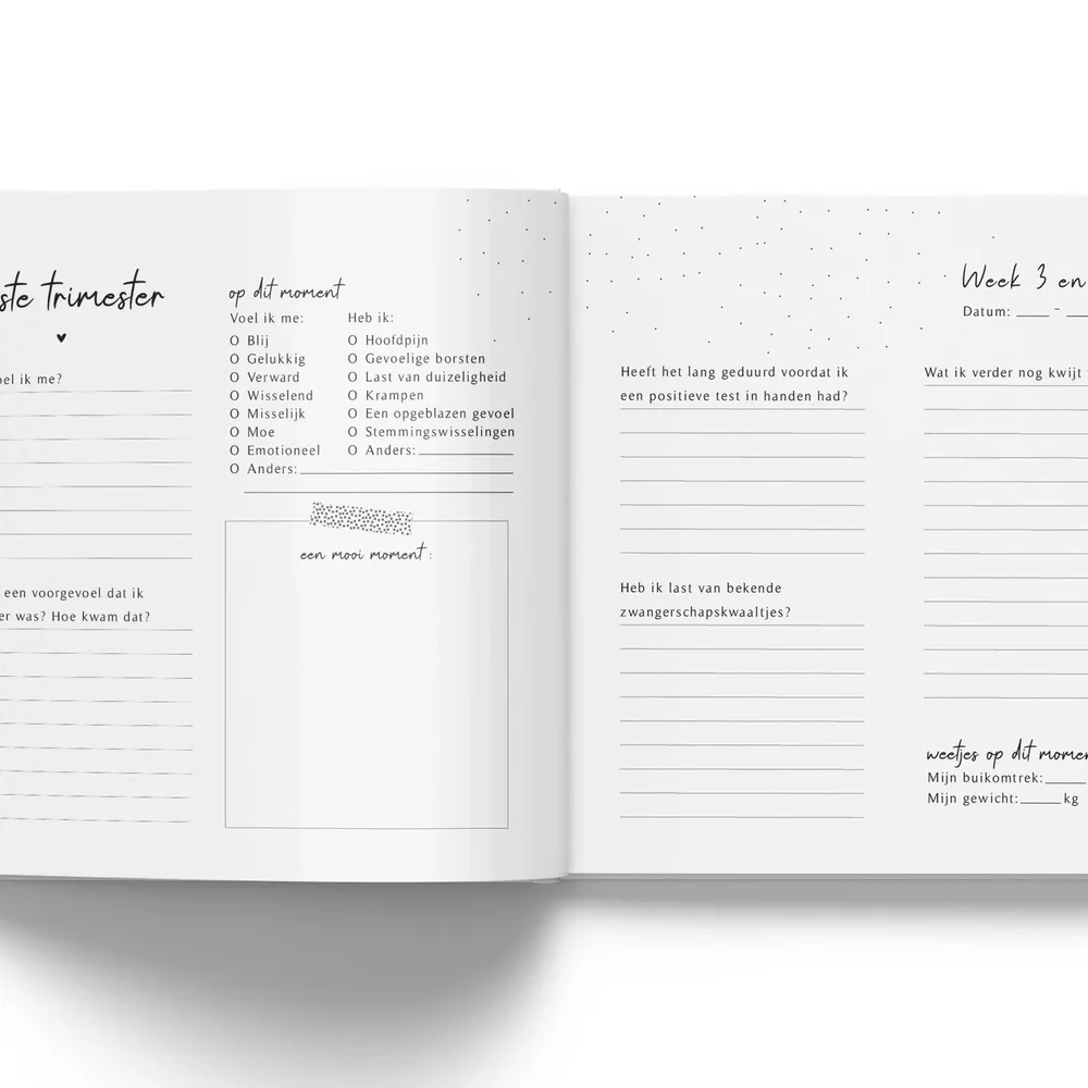 Mijn zwangerschap dagboek - Linnen Taupe Fyllbooks