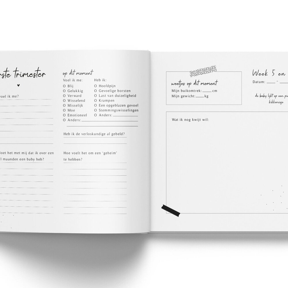 Mijn zwangerschap dagboek - Linnen Taupe Fyllbooks