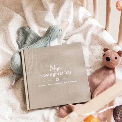 Mijn zwangerschap dagboek - Linnen Taupe Fyllbooks