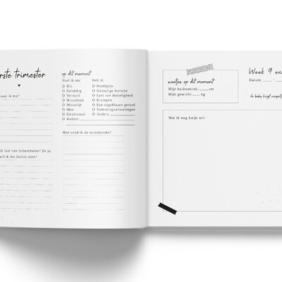 Mijn zwangerschap dagboek - Linnen Taupe Fyllbooks