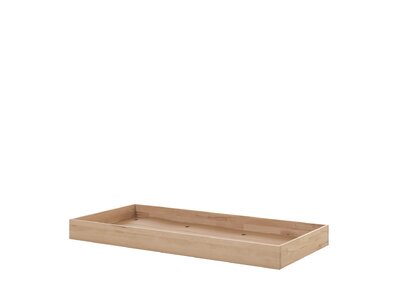 Forrest bedlade beuk natuur -