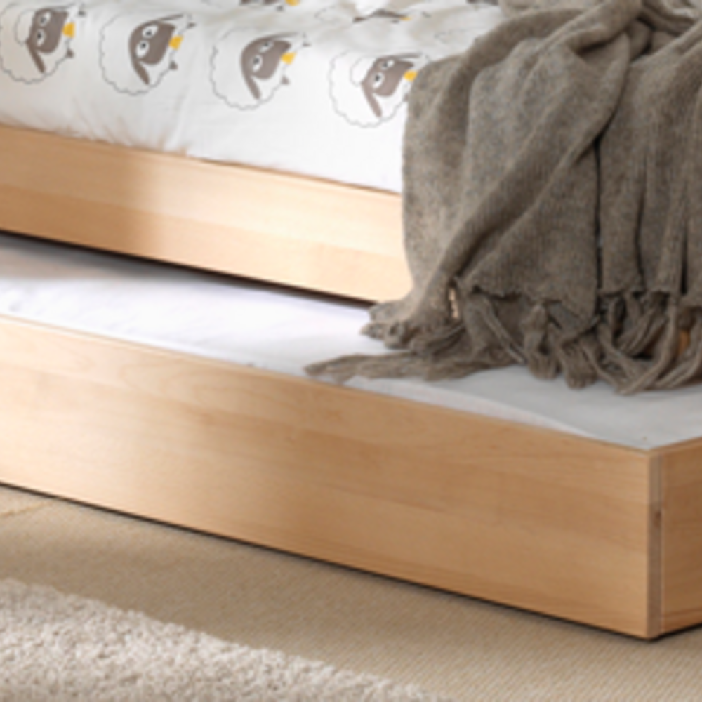 Forrest bedlade beuk natuur - Forrest bedlade beuk natuur -