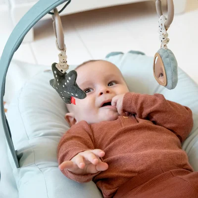 Hangend activiteitenspeelgoedje 2 pcs Wally Powder